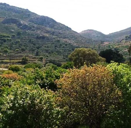 Irinoula Livadia (Tilos)