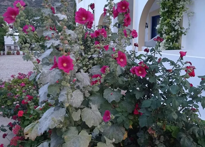 Irinoula Apartamento Livadia (Tilos)