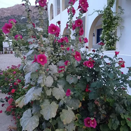 Irinoula شقة Livadia (Tilos)